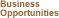 Business Opportunities